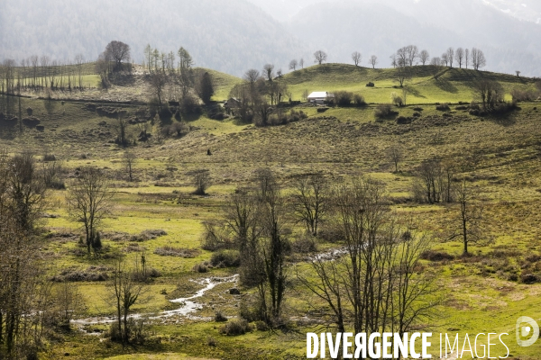 La vallée d OSSAU dans les Pyrénées