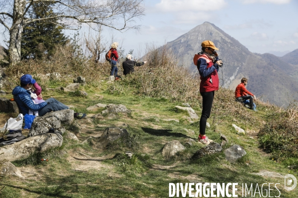 La vallée d OSSAU dans les Pyrénées