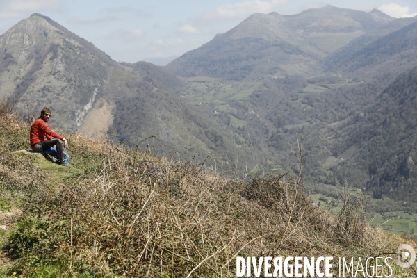 La vallée d OSSAU dans les Pyrénées