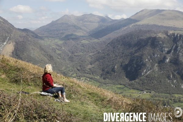 La vallée d OSSAU dans les Pyrénées