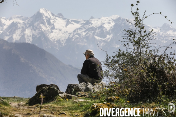 La vallée d OSSAU dans les Pyrénées