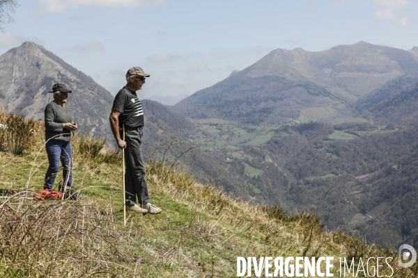 La vallée d OSSAU dans les Pyrénées