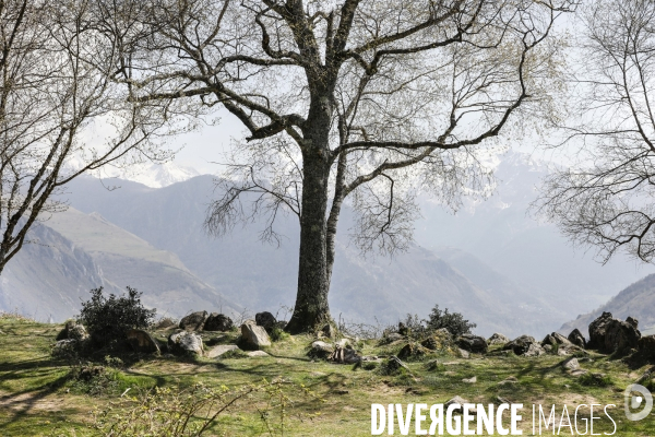 La vallée d OSSAU dans les Pyrénées