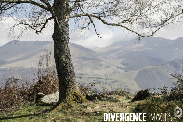 La vallée d OSSAU dans les Pyrénées