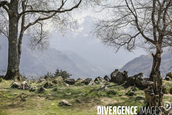 La vallée d OSSAU dans les Pyrénées