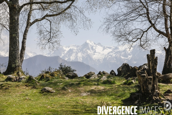 La vallée d OSSAU dans les Pyrénées