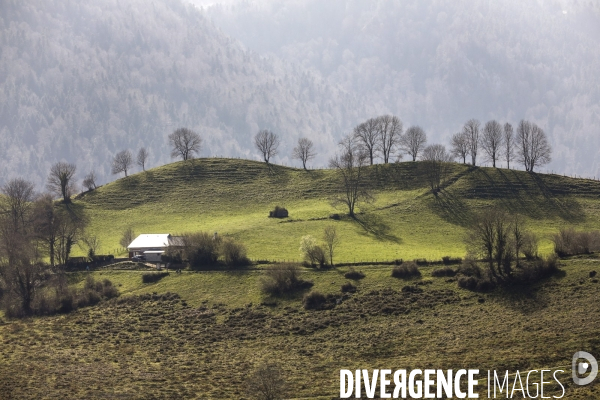 La vallée d OSSAU dans les Pyrénées