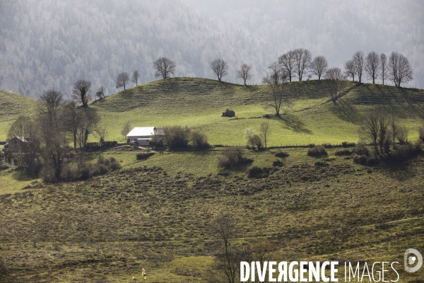 La vallée d OSSAU dans les Pyrénées