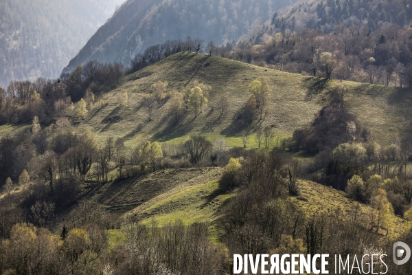 La vallée d OSSAU dans les Pyrénées