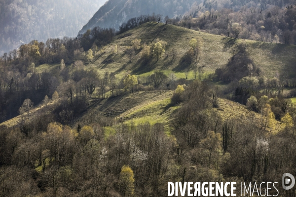 La vallée d OSSAU dans les Pyrénées