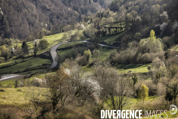 La vallée d OSSAU dans les Pyrénées