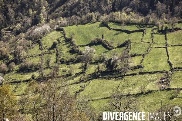 La vallée d OSSAU dans les Pyrénées