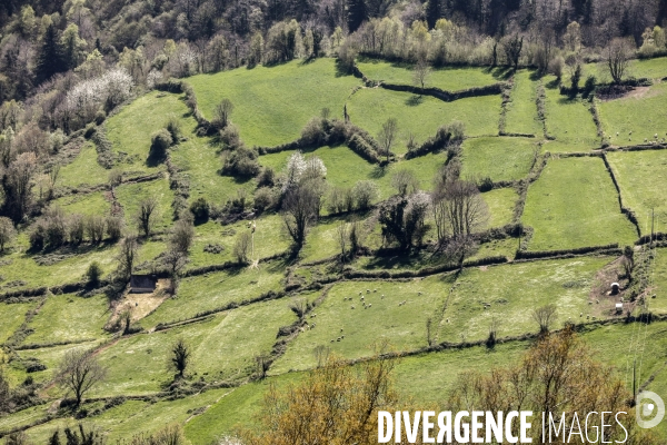 La vallée d OSSAU dans les Pyrénées