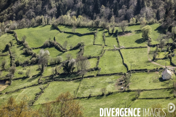 La vallée d OSSAU dans les Pyrénées