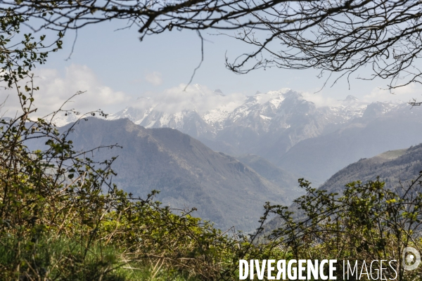 La vallée d OSSAU dans les Pyrénées