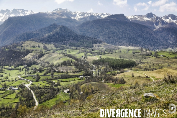 La vallée d OSSAU dans les Pyrénées