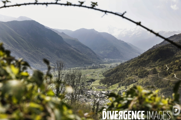 La vallée d OSSAU dans les Pyrénées