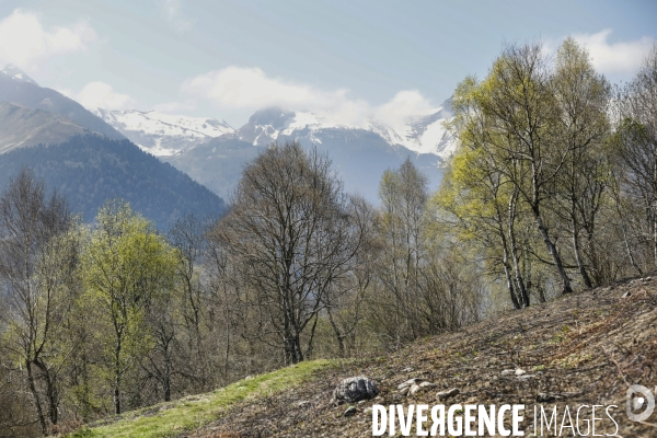 La vallée d OSSAU dans les Pyrénées