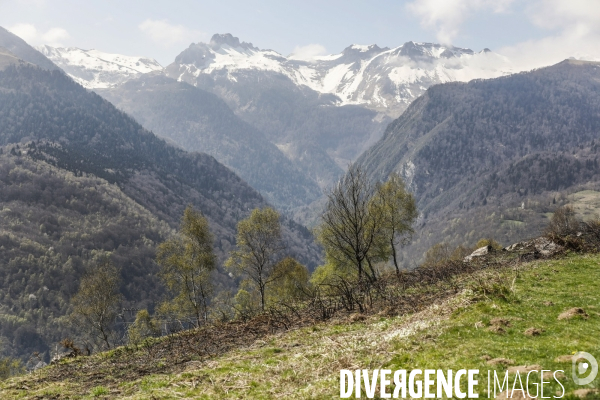 La vallée d OSSAU dans les Pyrénées