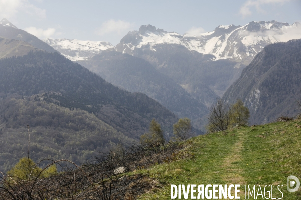 La vallée d OSSAU dans les Pyrénées