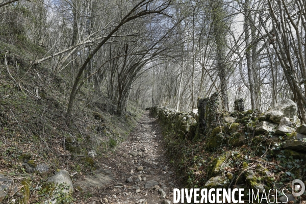 La vallée d OSSAU dans les Pyrénées