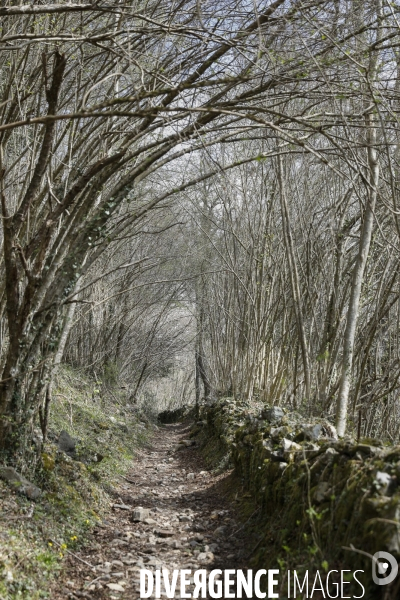 La vallée d OSSAU dans les Pyrénées