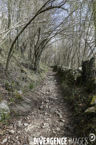 La vallée d OSSAU dans les Pyrénées