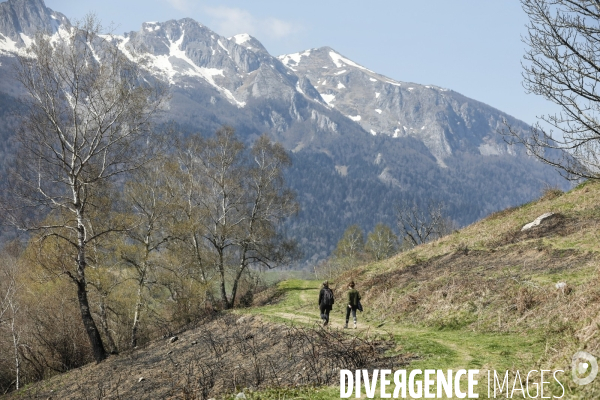 La vallée d OSSAU dans les Pyrénées