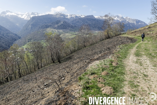 La vallée d OSSAU dans les Pyrénées