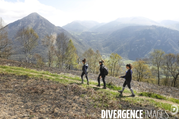 La vallée d OSSAU dans les Pyrénées