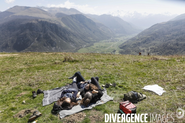 La vallée d OSSAU dans les Pyrénées