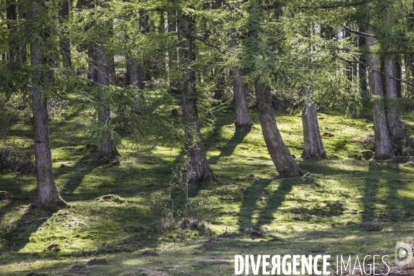 La vallée d OSSAU dans les Pyrénées