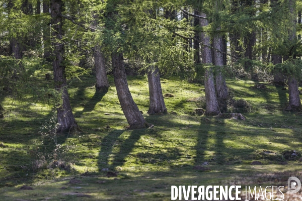 La vallée d OSSAU dans les Pyrénées