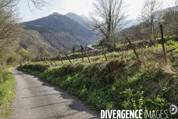 La vallée d OSSAU dans les Pyrénées