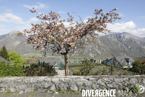 La vallée d OSSAU dans les Pyrénées