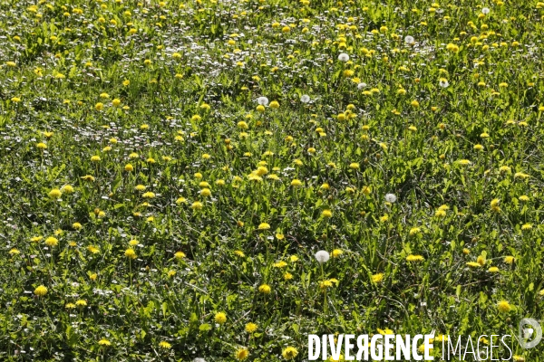 La vallée d OSSAU dans les Pyrénées