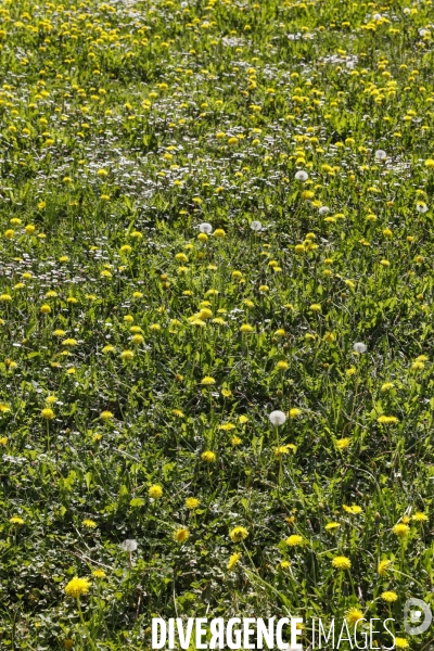 La vallée d OSSAU dans les Pyrénées