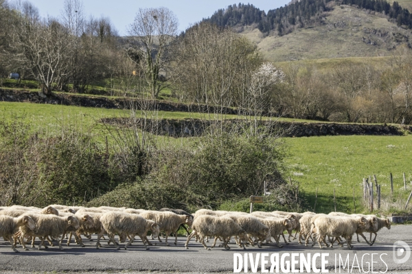 La vallée d OSSAU dans les Pyrénées