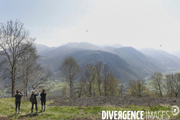 La vallée d OSSAU dans les Pyrénées