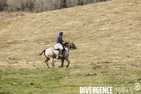 La vallée d OSSAU dans les Pyrénées