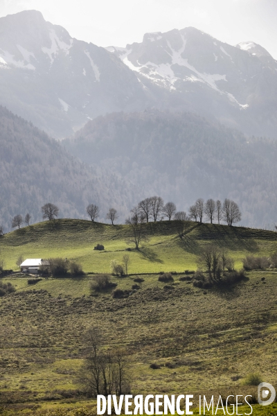 La vallée d OSSAU dans les Pyrénées