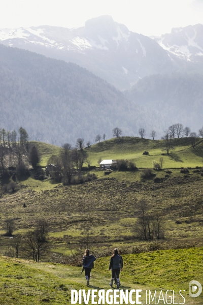 La vallée d OSSAU dans les Pyrénées