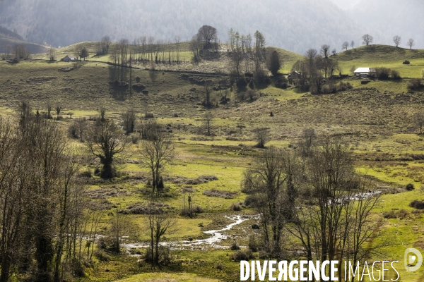 La vallée d OSSAU dans les Pyrénées