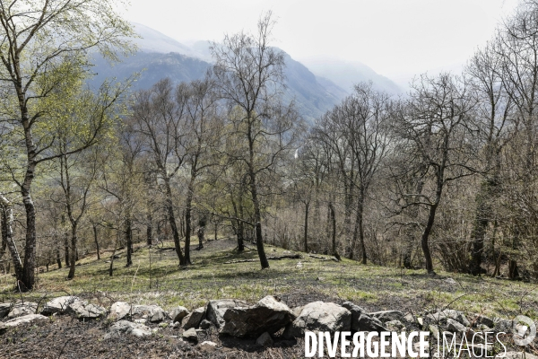 La vallée d OSSAU dans les Pyrénées