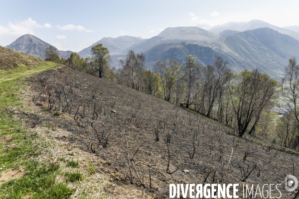 La vallée d OSSAU dans les Pyrénées