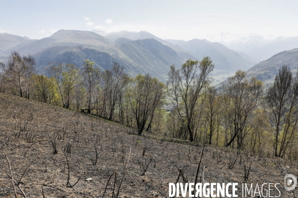 La vallée d OSSAU dans les Pyrénées