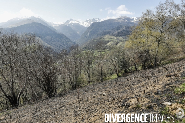 La vallée d OSSAU dans les Pyrénées