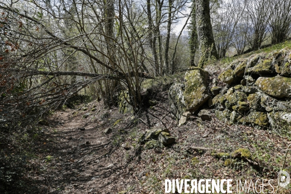 La vallée d OSSAU dans les Pyrénées