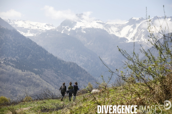 La vallée d OSSAU dans les Pyrénées