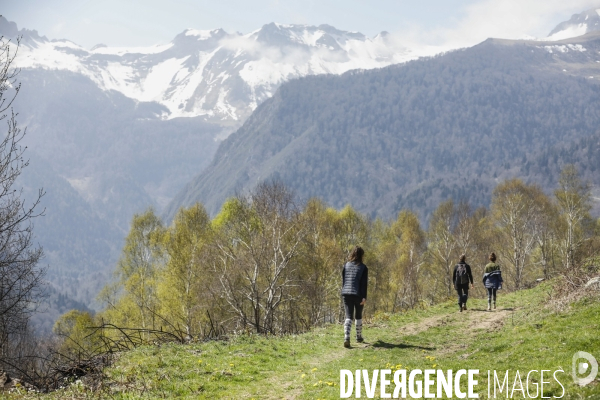 La vallée d OSSAU dans les Pyrénées